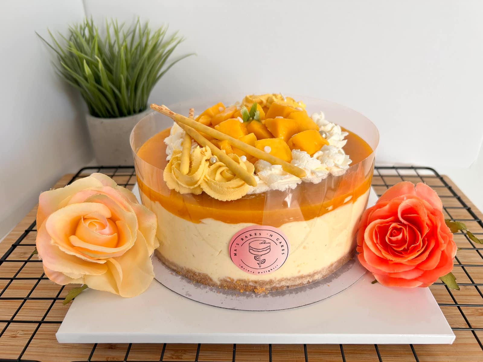 Mango 6-inch cheesecake