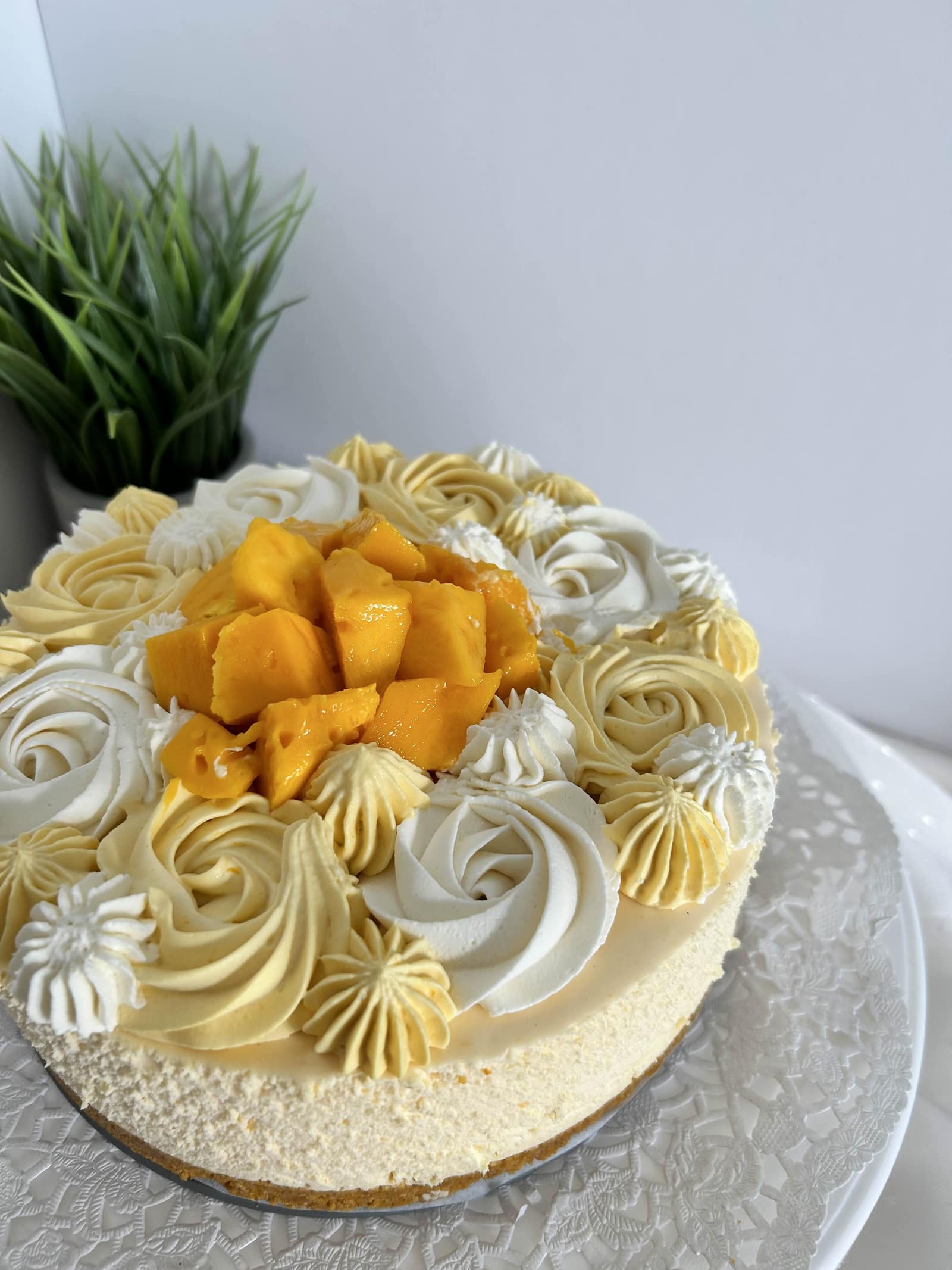 Mango cheesecake